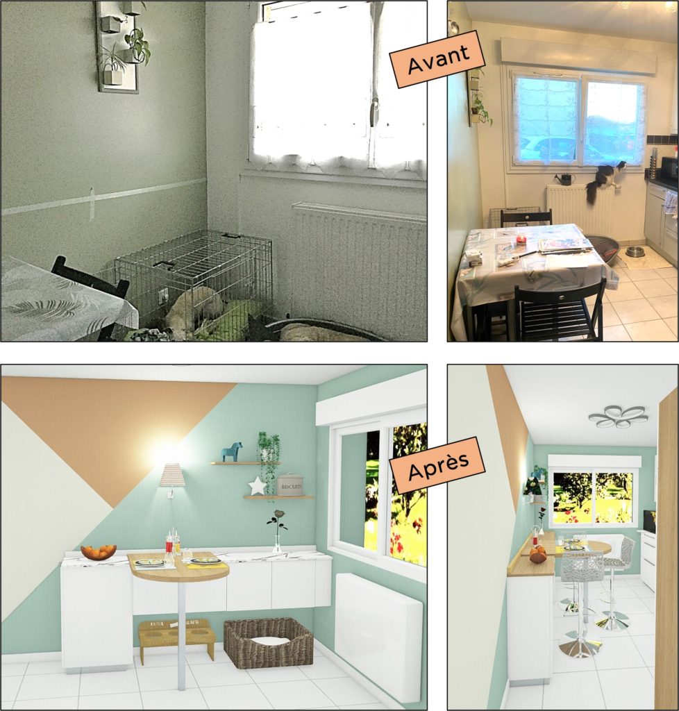 Projet-avant-apres-cuisine-chien-chatflinterieur-Fabienne-Luypaert