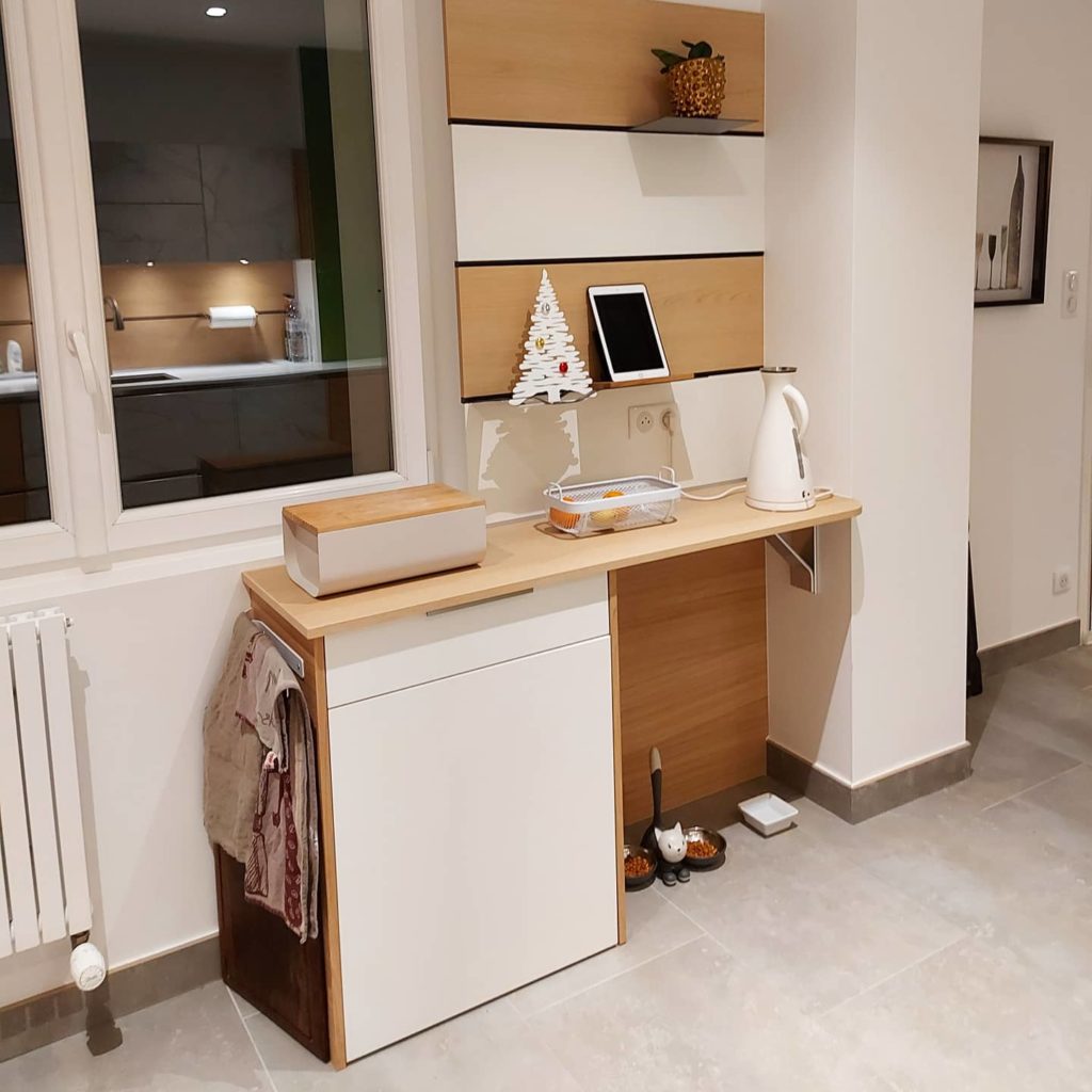 Projet-cuisine-gamelle-chat-integre-flinterieur-Fabienne-Luypaert