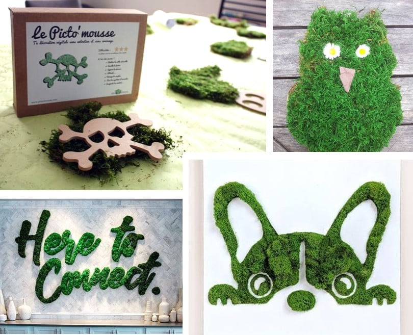 Pictomousse-vegetalisation-idee-deco-en-famille-naturelement-paysagiste-dinterieur