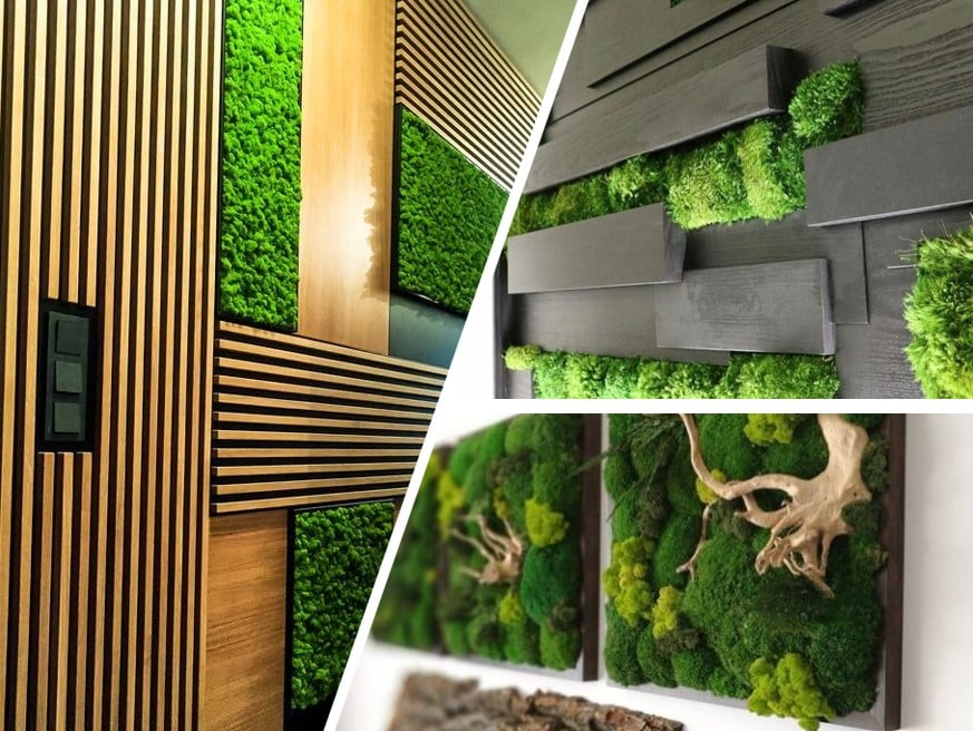 mur-tableau-stabilise-vegetalisation-idee-deco-design-naturelement-paysagiste-dinterieur