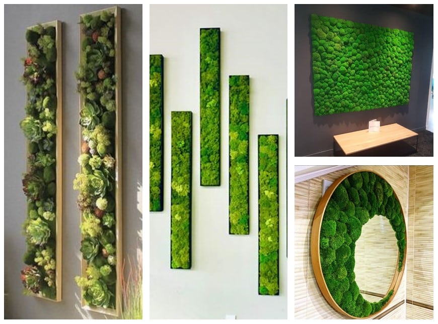 tableau-stabilise-vegetalisation-idee-deco-design-naturelement-paysagiste-dinterieur