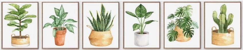 PLantes-verte-purifie-lair-interieur-depolluante-images-google-pinterest-cactus-palmier-aquarelle-dessin