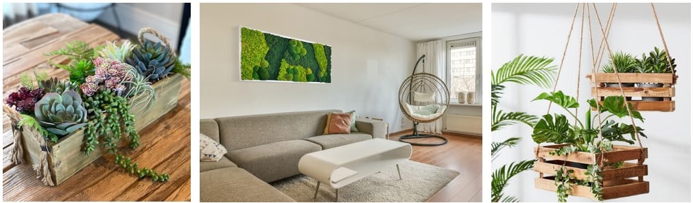 PLantes-verte-purifie-lair-interieur-depolluante-images-google-pinterest-cactus-palmier-murale-stabilise