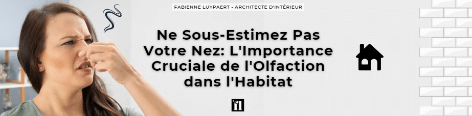 banniere_fabienne_luypaert_flinterieur_bien_etre_espace_maison_se_5_sens_visualisation_olfactif_odeurs_
