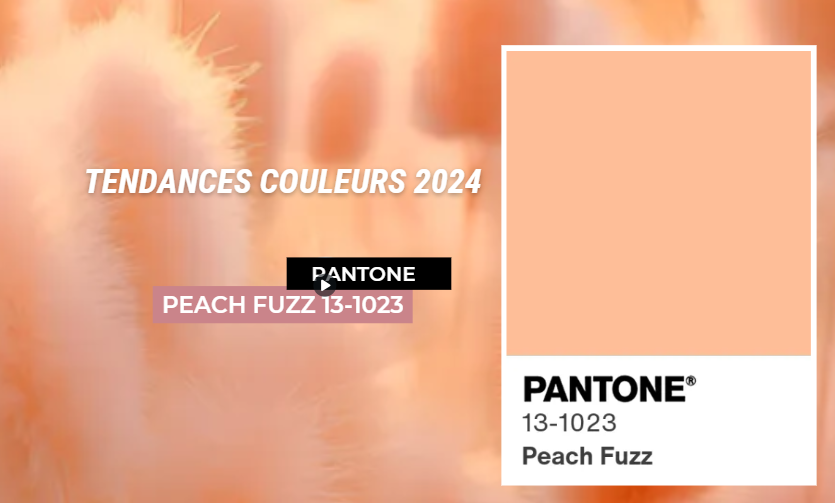 couleurs-tendances-2024_pantone_peach-fruzz_peinture_papier_peint